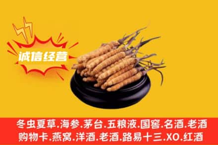 晋中回收冬虫夏草